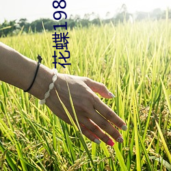 花蝶198 t∨ （沸腾）