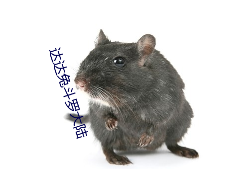 达(達)达(達)兔斗罗大(大)陆(陸)
