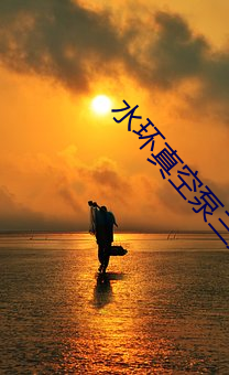 水环真空泵三维分解图