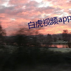 白虎視頻app