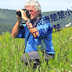 江辰(辰)唐楚(楚)楚小说(說)全(全)文(文)免费(費)阅读听(聽)读(讀)江(江)辰唐楚