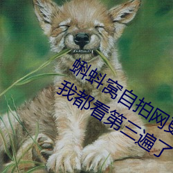 蝌蚪窝自拍网更新速度太慢被网友吐槽:我都看第三遍了