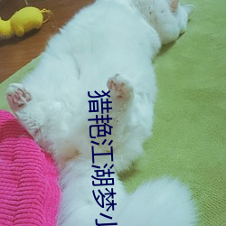 猎艳江湖梦小说