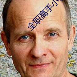全职高手小说