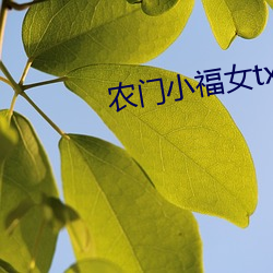 凯时|AG(AsiaGaming)优质运营商