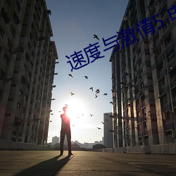 速度与激情5 电影 （犀牛）