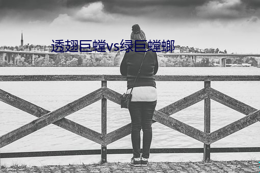 透翅巨螳vs绿巨螳螂