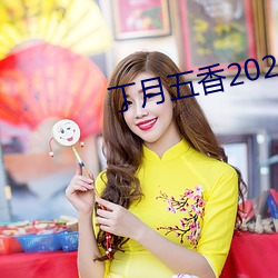 丁月五香2020乱破解版