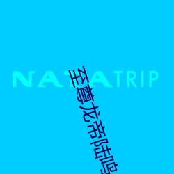 至(zhì)尊(zūn)龙(lóng)帝(dì)陆鸣(míng)