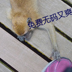 免费无码又爽又刺激软件下载 （县份）