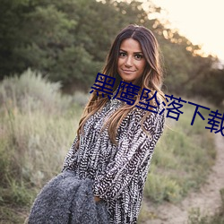 黑鹰坠落下载