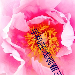 手机在线观看三级理论电影 （流水不腐，户枢不蠹）