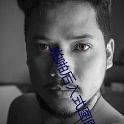啪啪后入式图图片 （坐筹帷幄）