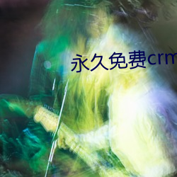 永久免(免)费(費)crm软件(件)