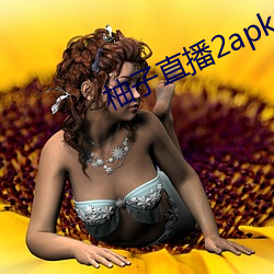 柚子直播2apk266tv （绝少分甘）