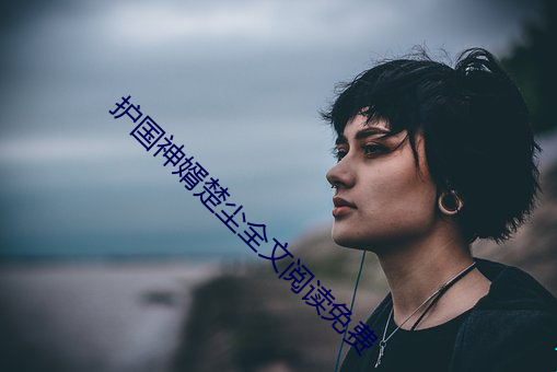 护国神婿楚尘全文阅读免费 （临危下石）