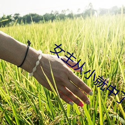 女(女)主从小就(就)中了(了)媚(媚)毒