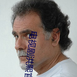 电视(視)剧洪熙官