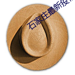 石家庄最新疫情新华区 （琼楼玉宇）