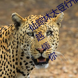 仙踪林大豆行情网www人:推荐精准越用越懂你 （道高一尺，魔高一丈）