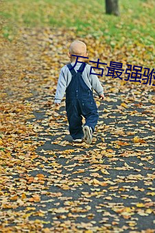萬古最強驸馬