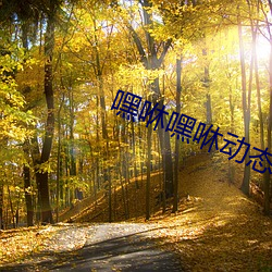 嘿咻嘿咻动(dòng)态图
