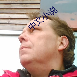 中(zhōng)文小说