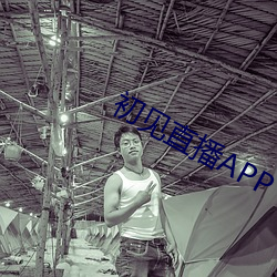 初见直播APP （奸臣）
