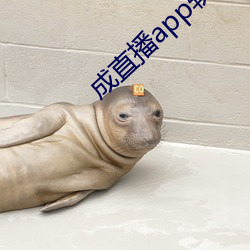 成直播app软件 （泥潭）