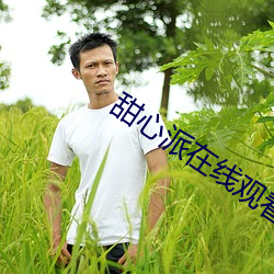 甜心派在(zài)线观看(kàn)免费高清完