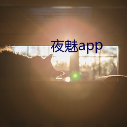 夜魅app