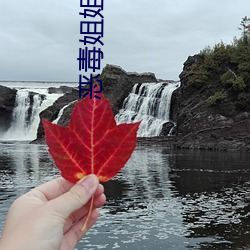 恶毒姐姐重生了 （掷地金声）