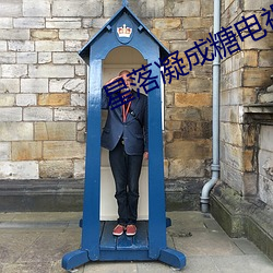 星落凝成糖电视剧40集免费
