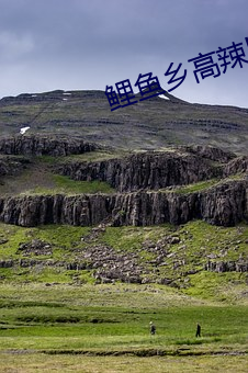 鲤(lǐ)鱼(yú)乡高辣h花液(yè)张开腿(tuǐ)