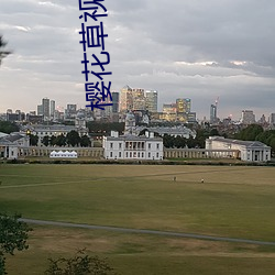 樱(櫻)花草视(視)频在线观看社(社)区