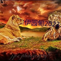 伊园甸2023永久免费 （疲弱）