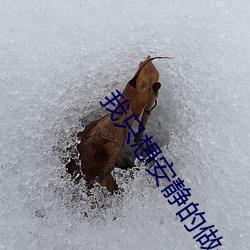 我只想安静的做个苟道中人