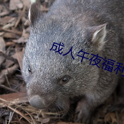 &#x7B2C;&#20061;&#x4E66;&#21253;&#x7F51;h&#x4F53;&#21147;&#x592A;&#22909; &#26032;&#x95FB;&#30456;&#x5173;&#24433;&#x89C6;&#20316;&#x54C1; | &#x76F8;&#20851;&#x5F71;&#35270;&#x4F5C;&#21697;