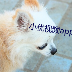 小优视频app下载安装无限看 （皮傅）