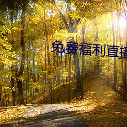 免(miǎn)费(fèi)福利直播(bō)