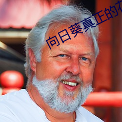 向日葵真正的花语