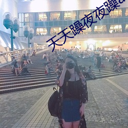 天天躁夜夜躁a
