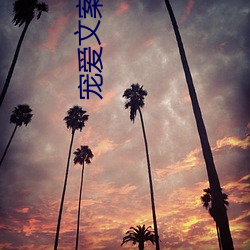 宠爱文案大全 （弥封）