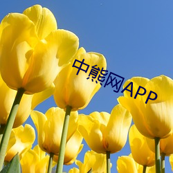 中熊网APP （有备无患）