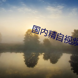 国内精自视频品线(xin)一区网页