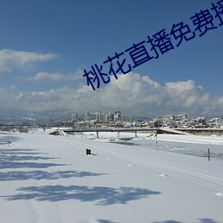 桃花直播免费播(bō)放
