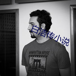 白(bái)洁传小说