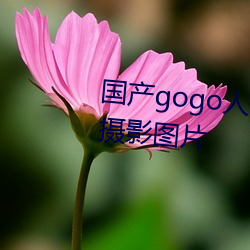 国产gogo人(人)体艺术美女模特高清(清)摄影图片(片)
