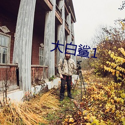 大白鲨1