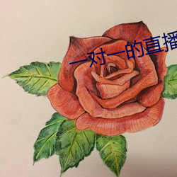 一对一的直播